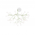 Люстра HERACLEUM by Moooi